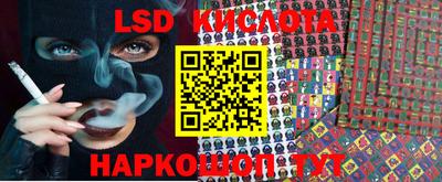 прущие крисы Бийск